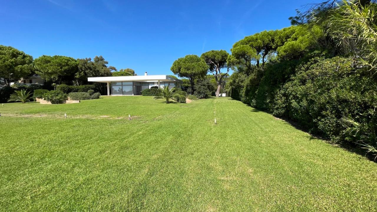 Beachfront Villa Hoopoe Schinias, Marathon Eksteriør bilde