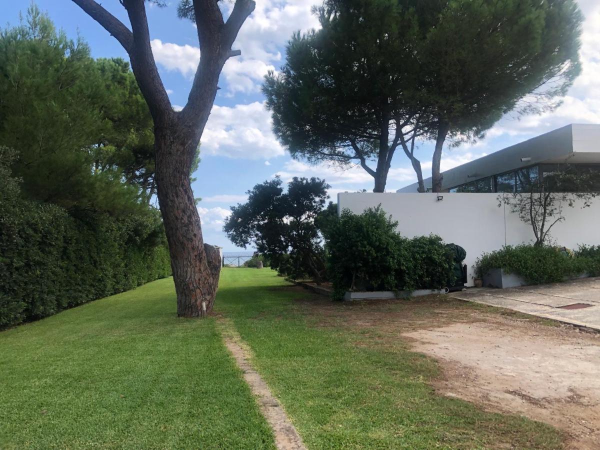 Beachfront Villa Hoopoe Schinias, Marathon Eksteriør bilde
