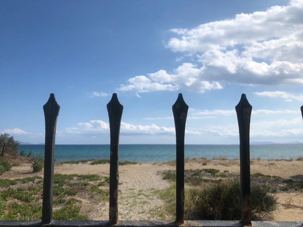 Beachfront Villa Hoopoe Schinias, Marathon Eksteriør bilde