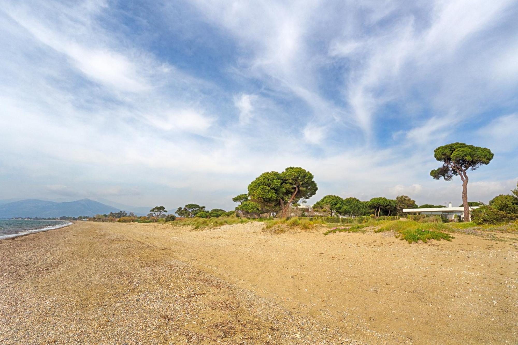 Beachfront Villa Hoopoe Schinias, Marathon Eksteriør bilde